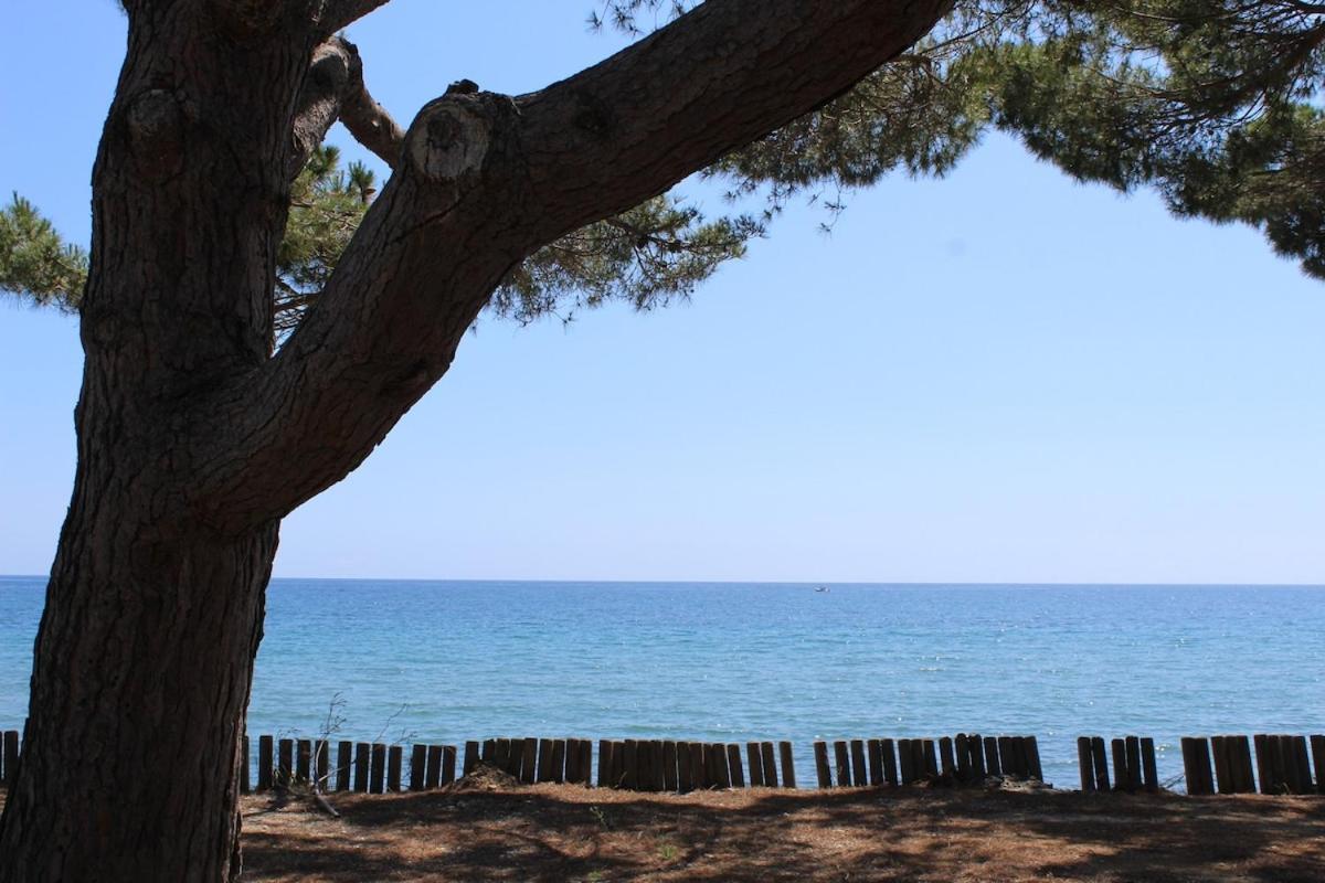 Willa Bord de mer, pieds dans l'eau, vue panoramique San-Nicolao Zewnętrze zdjęcie